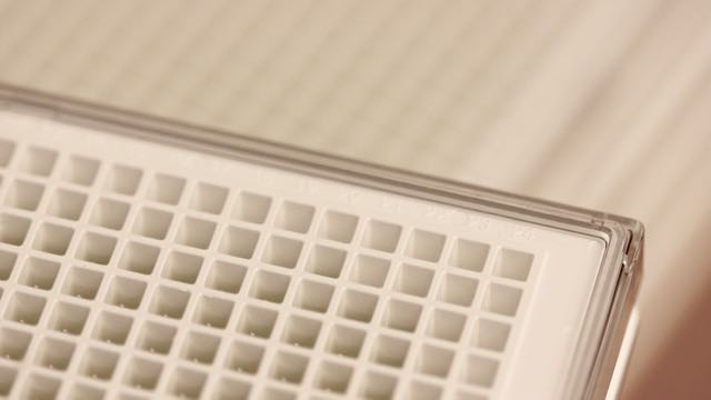 384-well assay plate