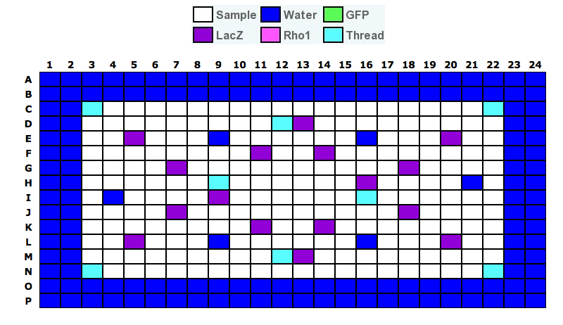 Control Wells in the Autophagy Sublibrary