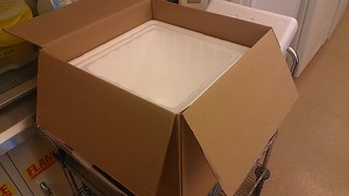 Shipping Box