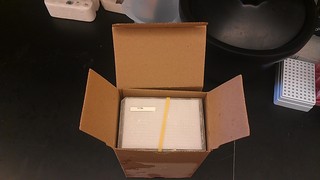 cardboard sleeve