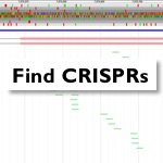 Square icon for Find CRISPRs online resource