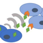 FlyPhone online resource logo icon