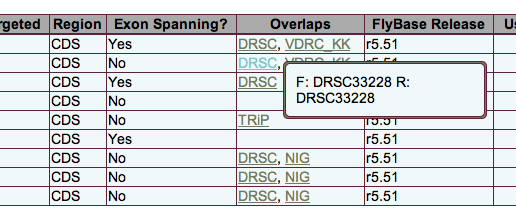 FlyPrimerBank overlap tool tip