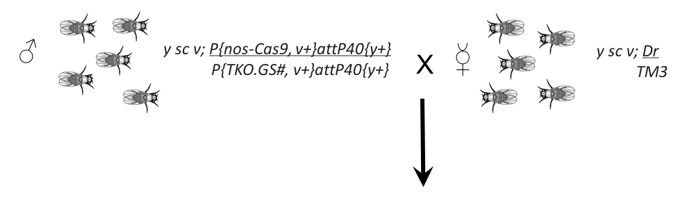 step 3