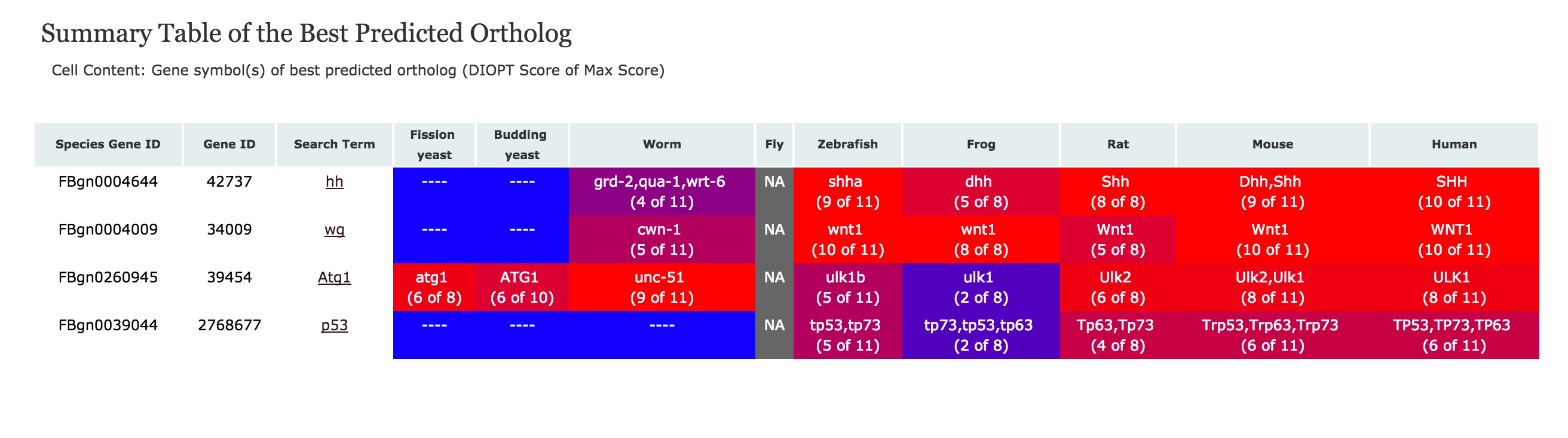 Summary of Best Scores following a search with fly hh, wg, Atg1, and p53 genes