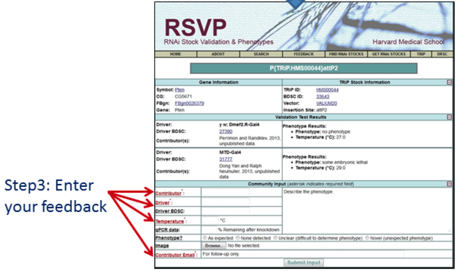 RSVP feeback step 3