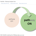 Screenshot from the PathOn online resource home page
