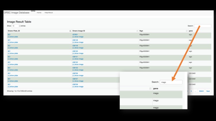 Screenshot of search page for HMS OMERO view of Neumuller et al screen image data