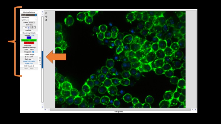 Screenshot of image view and adjust page at HMS OMERO database of Neumuller et al screen image data