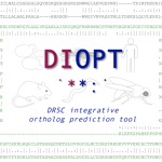 Square logo for DIOPT online resource