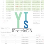 Square logo for iProteinDB online resource