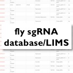 Square icon for fly sgRNA database and LIMS