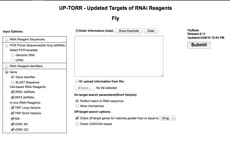 UP-TORR input form