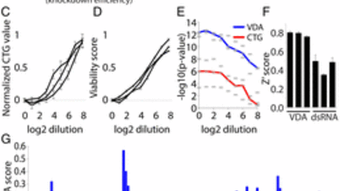 Figure 2 from Housden et al 2017 PNAS