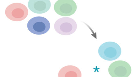 Cartoon of essential gene pooled screen (made using BioRender.io)