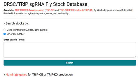 sgRNA tracking